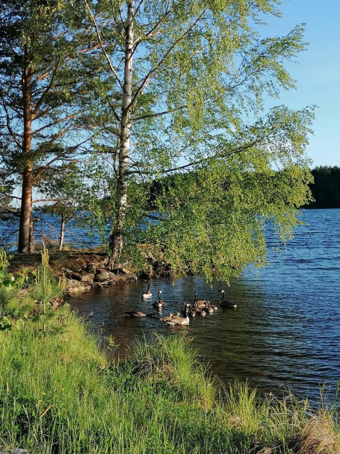 Bed and Breakfast Birgittagarden - Gaesthem - Birgittasystrarna Фалун Экстерьер фото