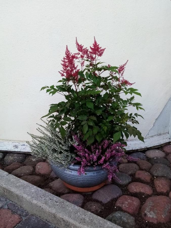 Bed and Breakfast Birgittagarden - Gaesthem - Birgittasystrarna Фалун Экстерьер фото